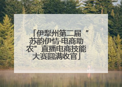 伊犁州第二届“苏韵伊情·电商助农”直播电商技能大赛圆满收官