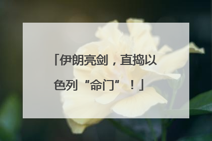 伊朗亮剑，直捣以色列“命门”！