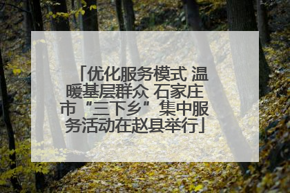 优化服务模式 温暖基层群众 石家庄市“三下乡”集中服务活动在赵县举行