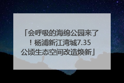 会呼吸的海绵公园来了！杨浦新江湾城7.35公顷生态空间改造焕新