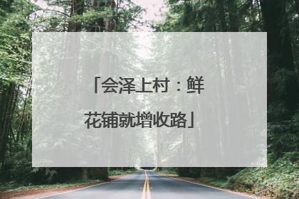 会泽上村：鲜花铺就增收路
