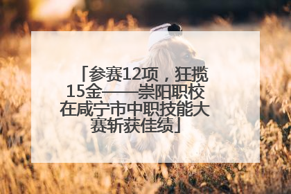 参赛12项，狂揽15金——崇阳职校在咸宁市中职技能大赛斩获佳绩