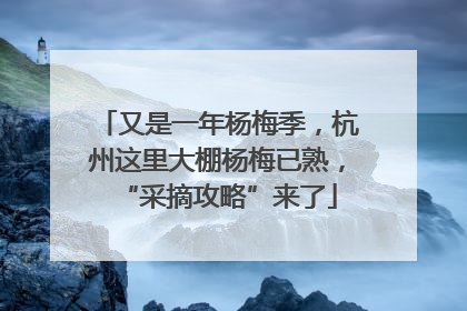 又是一年杨梅季，杭州这里大棚杨梅已熟，“采摘攻略”来了