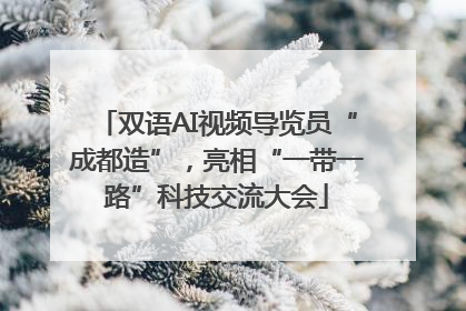双语AI视频导览员“成都造”，亮相“一带一路”科技交流大会