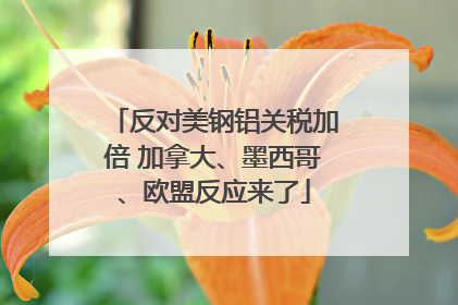 反对美钢铝关税加倍 加拿大、墨西哥、欧盟反应来了