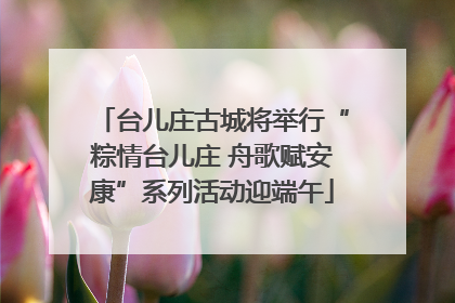 台儿庄古城将举行“粽情台儿庄 舟歌赋安康”系列活动迎端午