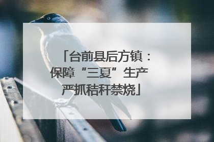 台前县后方镇：保障“三夏”生产 严抓秸秆禁烧
