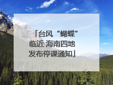 台风“蝴蝶”临近 海南四地发布停课通知
