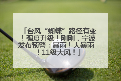 台风“蝴蝶”路径有变！强度升级！刚刚，宁波发布预警：暴雨！大暴雨！11级大风！
