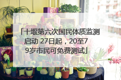 十堰第六次国民体质监测启动 27日起，20至79岁市民可免费测试