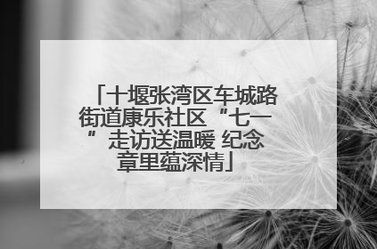 十堰张湾区车城路街道康乐社区“七一”走访送温暖 纪念章里蕴深情