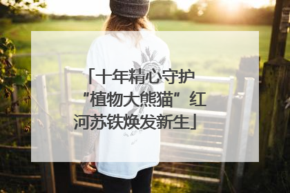 十年精心守护 “植物大熊猫”红河苏铁焕发新生