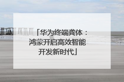 华为终端龚体：鸿蒙开启高效智能开发新时代