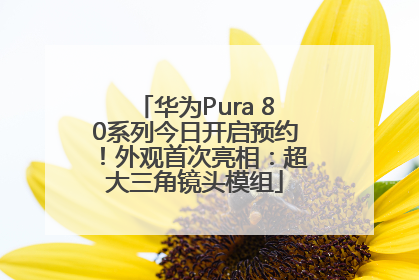 华为Pura 80系列今日开启预约！外观首次亮相：超大三角镜头模组