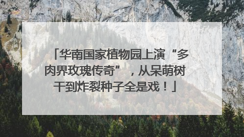 华南国家植物园上演“多肉界玫瑰传奇”，从呆萌树干到炸裂种子全是戏！