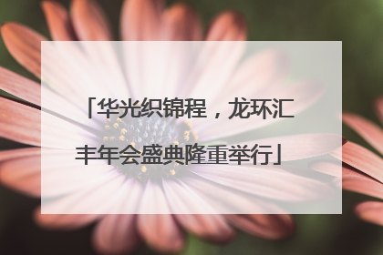 华光织锦程，龙环汇丰年会盛典隆重举行
