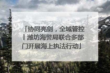 协同亮剑，全域管控丨潍坊海警局联合多部门开展海上执法行动