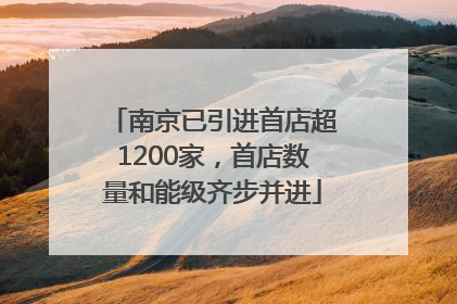 南京已引进首店超1200家，首店数量和能级齐步并进