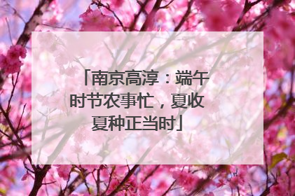 南京高淳：端午时节农事忙，夏收夏种正当时