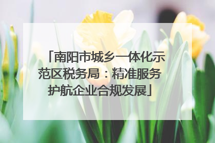 南阳市城乡一体化示范区税务局：精准服务护航企业合规发展
