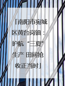 南阳市宛城区黄台岗镇：护航“三夏”生产 田间抢收正当时
