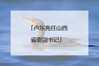 卢东亮任山西省委副书记