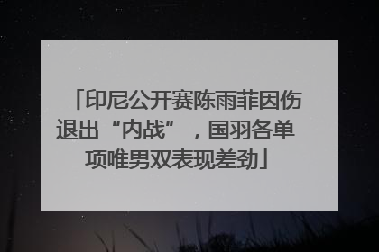 印尼公开赛陈雨菲因伤退出“内战”，国羽各单项唯男双表现差劲