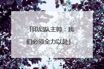 印尼队主帅：我们必须全力以赴