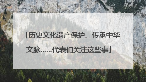 历史文化遗产保护、传承中华文脉……代表们关注这些事