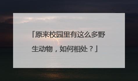 原来校园里有这么多野生动物，如何相处？