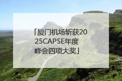 厦门机场斩获2025CAPSE年度峰会四项大奖