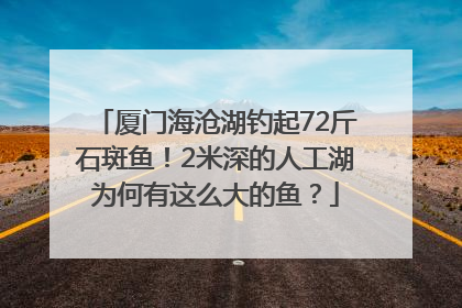 厦门海沧湖钓起72斤石斑鱼！2米深的人工湖为何有这么大的鱼？