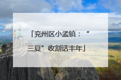 兖州区小孟镇：“三夏”收割话丰年