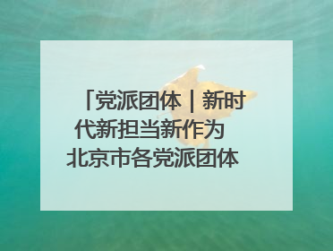 党派团体｜新时代新担当新作为 北京市各党派团体这么干！