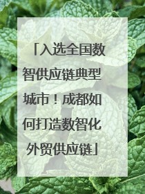 入选全国数智供应链典型城市！成都如何打造数智化外贸供应链