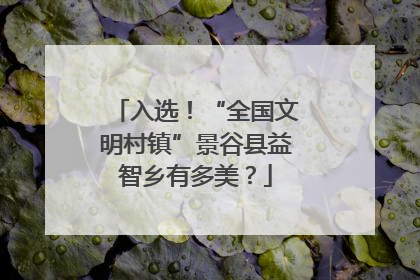 入选！“全国文明村镇”景谷县益智乡有多美？
