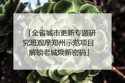 全省城市更新专题研究班观摩郑州示范项目 解锁老城焕新密码