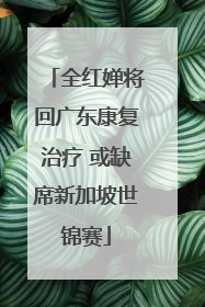 全红婵将回广东康复治疗 或缺席新加坡世锦赛
