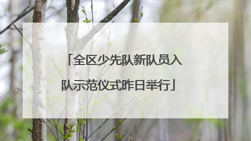 全区少先队新队员入队示范仪式昨日举行
