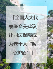 全国人大代表施文美建议让司法保障成为老年人“暖心护盾”