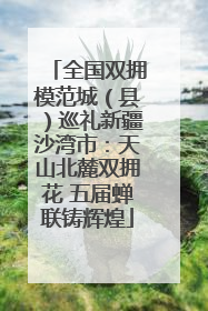 全国双拥模范城（县）巡礼新疆沙湾市：天山北麓双拥花 五届蝉联铸辉煌