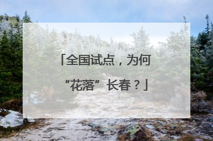全国试点，为何“花落”长春？