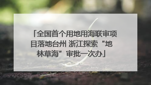 全国首个用地用海联审项目落地台州 浙江探索“地林草海”审批一次办