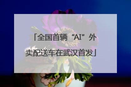 全国首辆“AI”外卖配送车在武汉首发