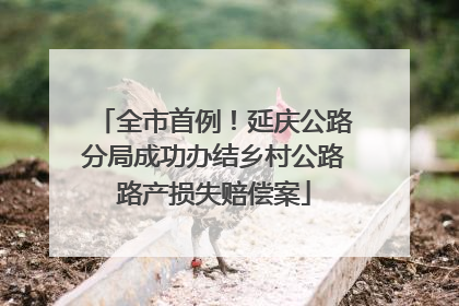 全市首例！延庆公路分局成功办结乡村公路路产损失赔偿案