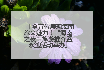 全方位展现海南旅文魅力！“海南之夜”旅游推介暨欢迎活动举办
