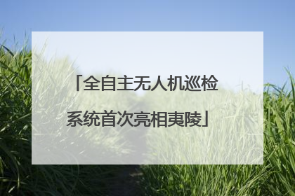 全自主无人机巡检系统首次亮相夷陵