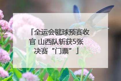 全运会毽球预赛收官 山西队斩获5张决赛“门票”