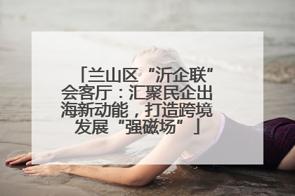 兰山区“沂企联”会客厅：汇聚民企出海新动能，打造跨境发展“强磁场”