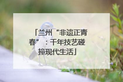 兰州“非遗正青春”：千年技艺碰撞现代生活